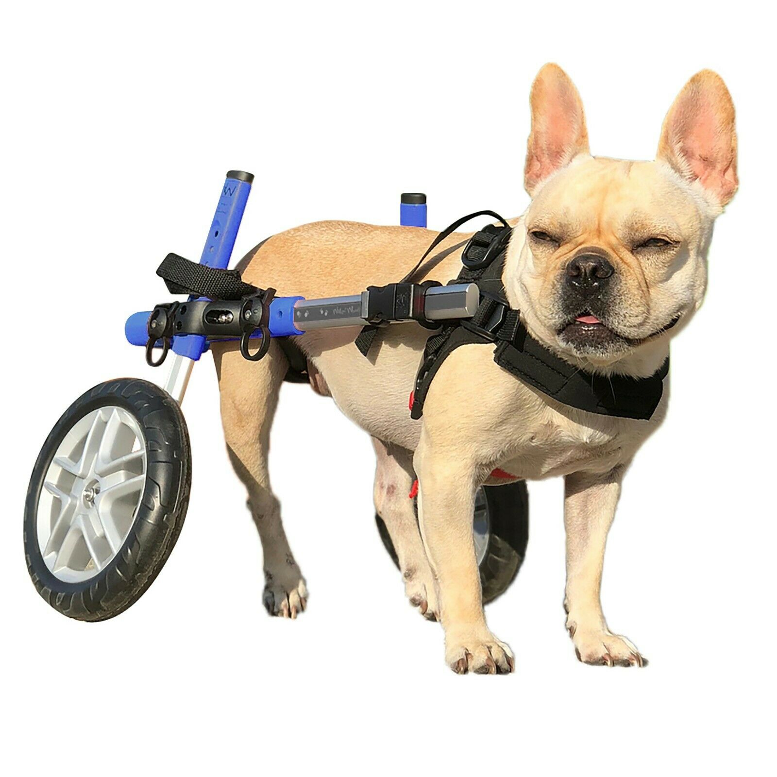 Refurbished Dog Wheelchair For Small Dogs - By Walkin' Wheels