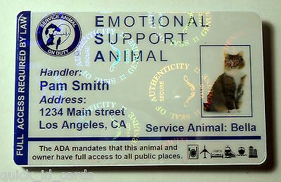 Hologram Feline Emotional Support Animal Id Card / Badge Service Cat  Esa  32