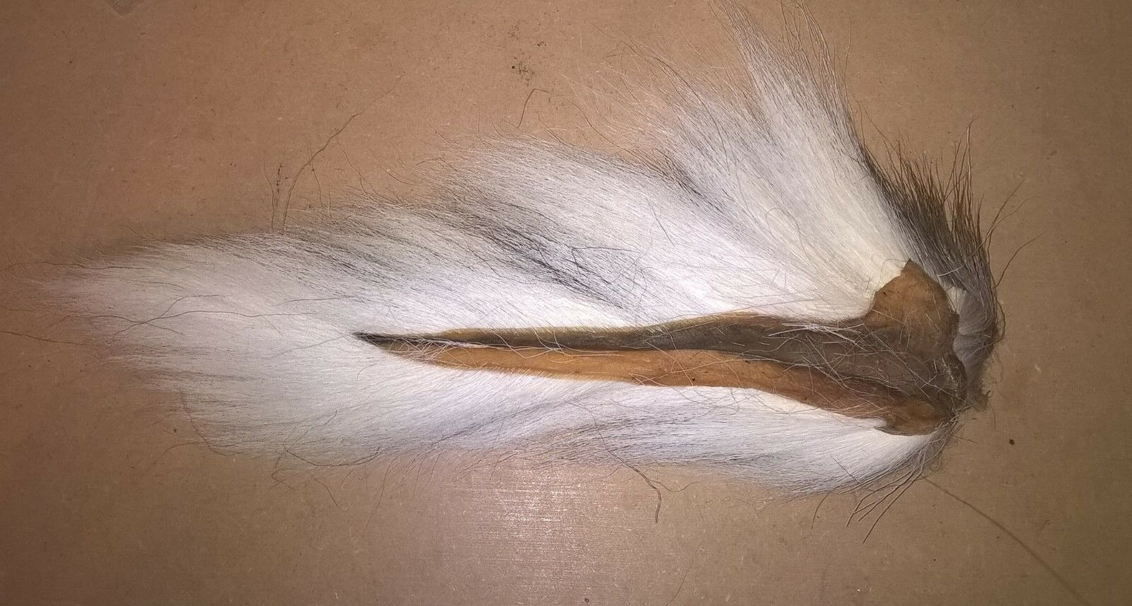 $4.99 White Northern  Bucktail Deer Hair Buck Tail For Jigs Fly Tying $4.99