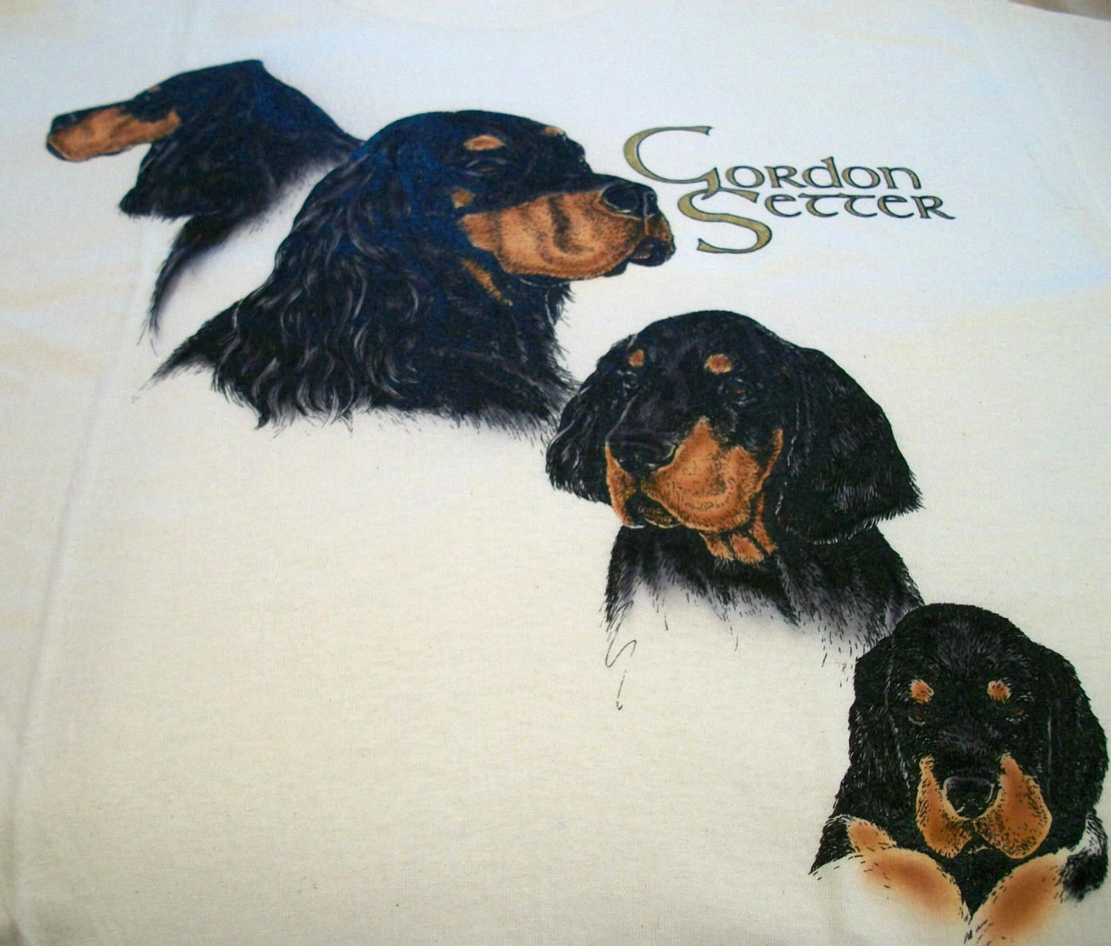 Gordon Setter T-shirt ~ Natural ~ Size 2xl ( 50 ~ 52 )
