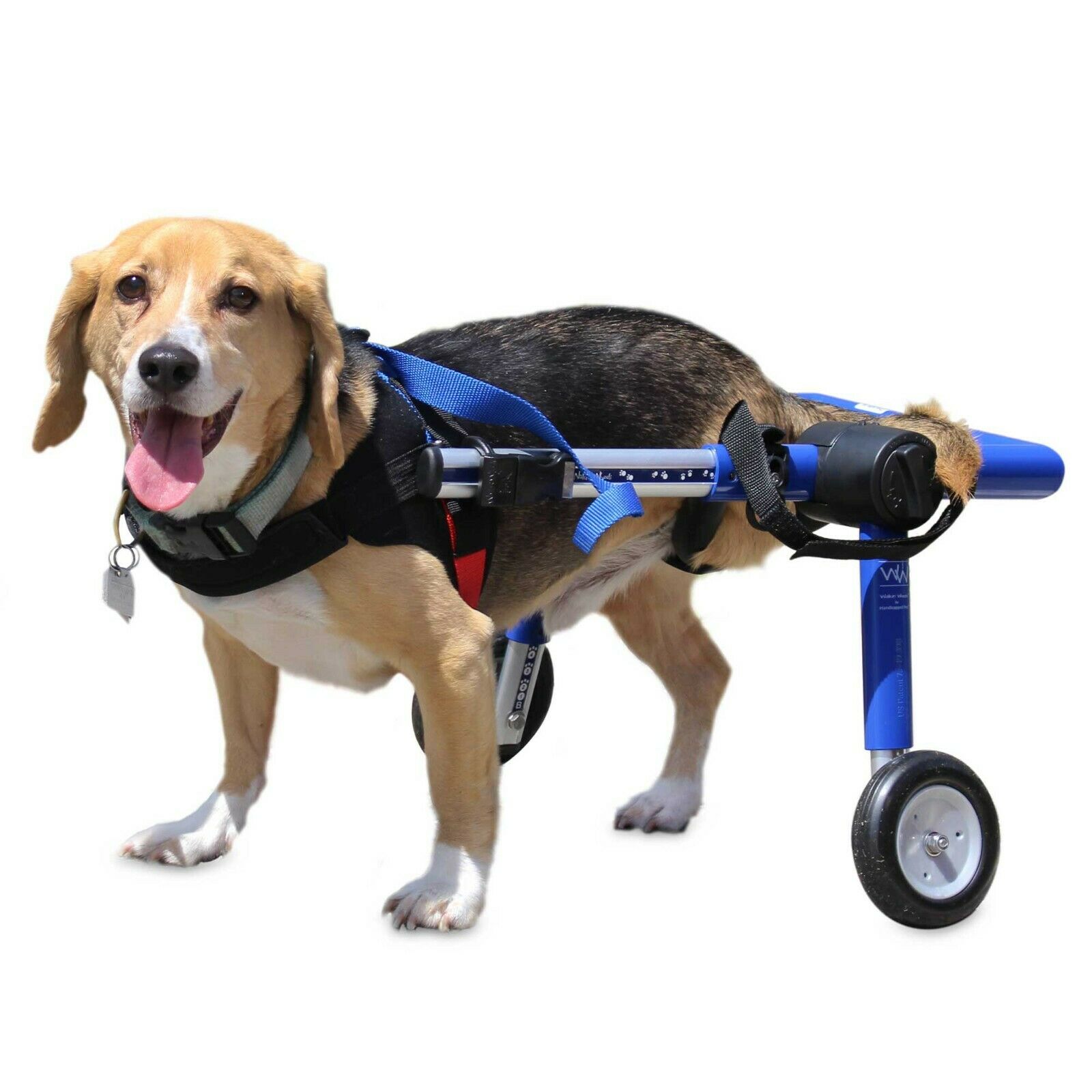 Refurbished Dog Wheelchair - For Medium Dogs 26-50lbs - By Walkin' Wheels