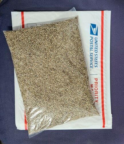 Hemp Seed Organic 3# Bag ( (( Protein + Omegas )) ) For All Birds & Senegals